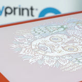 Poudre adhésive DTF Xpress