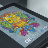 Poudre adhésive DTF Xpress